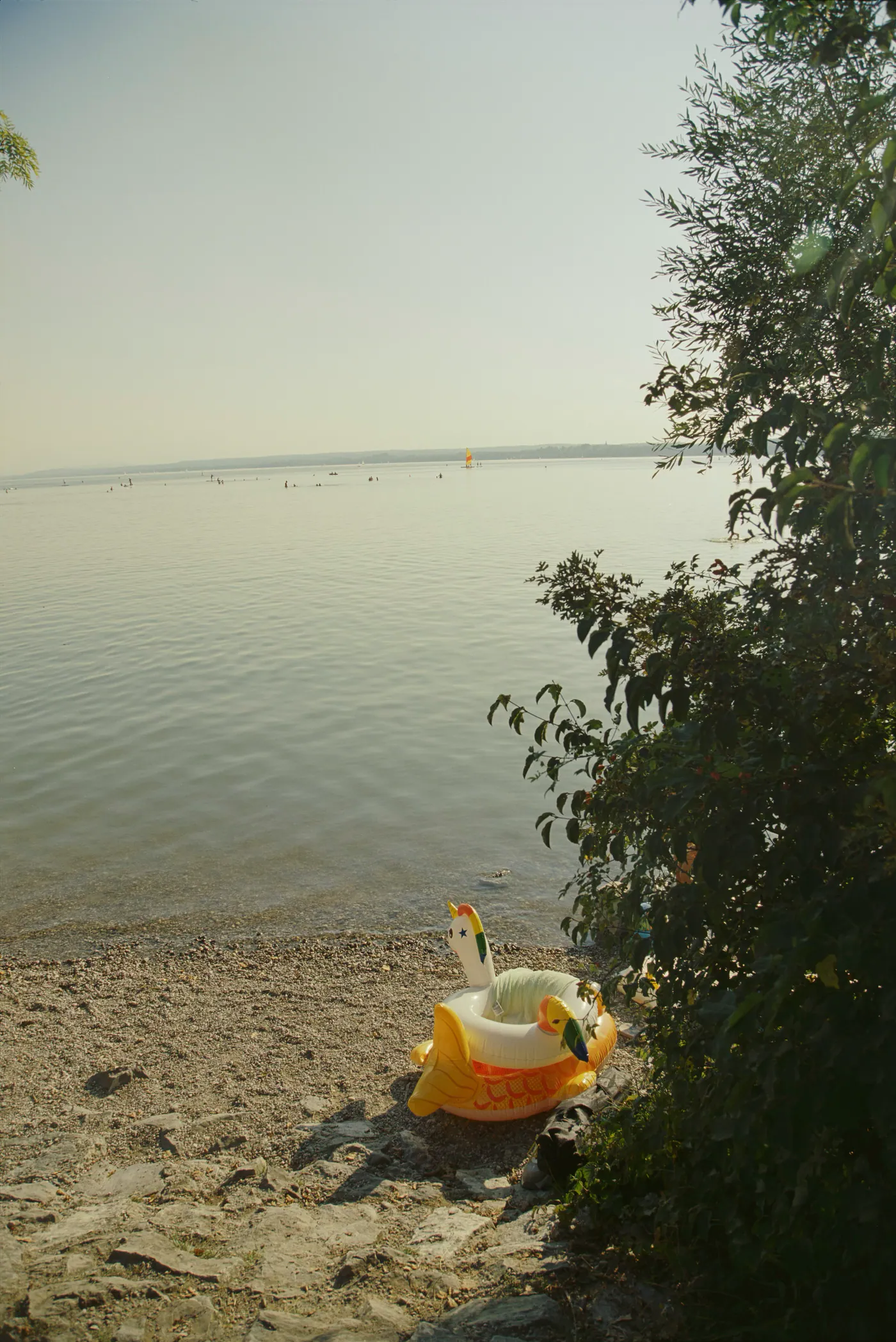Ufer eines Sees im warmen Licht, auf dem Kiesstrand liegt ein gelb-weißes aufblasbares Schwimmtier, rechts ein Busch
